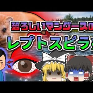 【2007年沖縄】川に潜む危険な細菌 きっかけは『小さな傷』「レプトスピラ感染症」【ゆっくり解説】