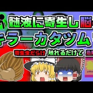 【2014年ｱﾒﾘｶ】触るだけで危険！脳に障害を及ぼす恐ろしい寄生虫…原因は「カタツムリ」？？