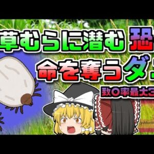 【2015年愛媛】命を奪う恐ろしいダニ 高致〇率感染症「SFTS」【ゆっくり解説】※虫閲覧注意