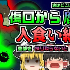 【2016年ｱﾒﾘｶ】傷口を抉り取らなければ助からない 体をゾンビのようにしてしまう「人喰い細菌」【ゆっくり解説】