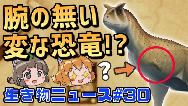 腕のない変な新種恐竜？湖に現れた巨大な怪魚…大学にある謎のリスの銅像の正体は？【生き物ニュース#30】