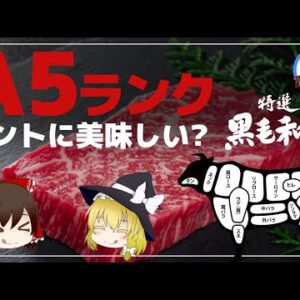 【ゆっくり解説】牛肉はＡ5ランクが美味しいはウソ！？味の良し悪しを決める重要な成分とは？