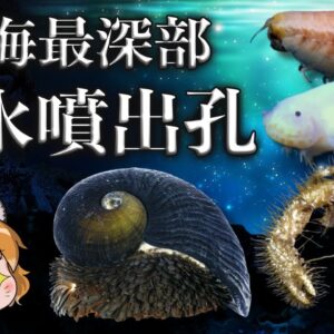 【超深海】生命の起源！？熱水噴出孔に住む生き物7選