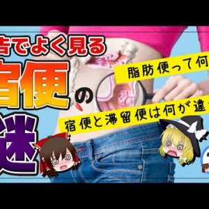 【ゆっくり解説】広告で見る「宿便」は嘘？下剤を使うと健康な人の便の80%が…