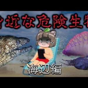 【要注意】日本に生息する身近な危険生物9選（海辺編）