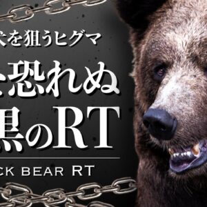 【怪物】飼い犬を狙う凶悪ヒグマ「RT」｜人を恐れぬ知床の新世代クマの目的とは…