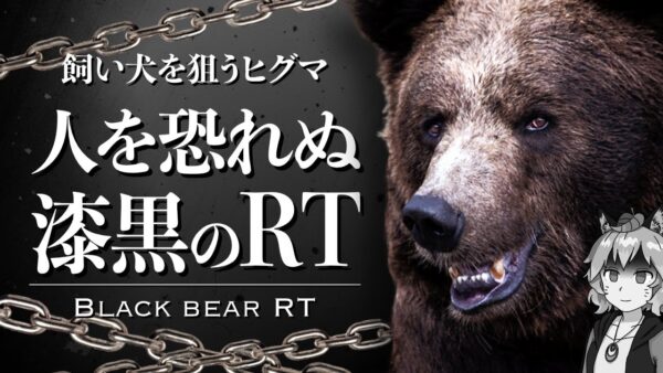 【怪物】飼い犬を狙う凶悪ヒグマ「RT」｜人を恐れぬ知床の新世代クマの目的とは…