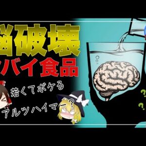 【ゆっくり解説】この食べ物が脳を衰えさせている？恐怖の食べ物の正体について