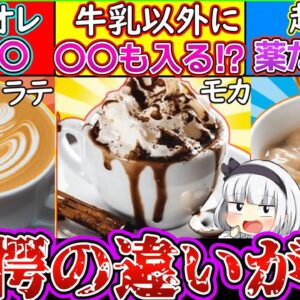 【ゆっくり解説】コーヒー派生で人気のカフェオレ・ラテ・モカの違いとは⁉︎歴史に迫る！