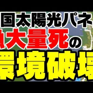 韓国、太陽光パネル設置で魚が大量死！？やっぱり再エネは環境破壊を招くのか【ゆっくり解説】