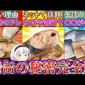 【ゆっくり解説】鯖缶史上衝撃のひみつ！切り身よりも健康的な栄養が豊富⁉︎