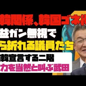 日韓関係改善になぜか努力する日本の国会議員【ゆっくり解説】