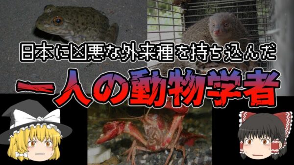 【ゆっくり解説】有害な外来種を日本に持ち込んでしまった動物学者
