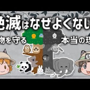【生物多様性】絶滅はなぜよくない？生き物を保護する本当の理由
