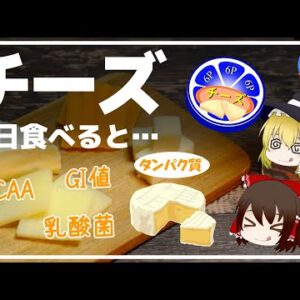 【ゆっくり解説】チーズを毎日食べると…健康への絶大な効果がヤバかった