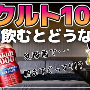 【ゆっくり解説】ヤクルト1000を毎日飲むと？なぜ品薄なのか！現代人の健康問題を解決！？