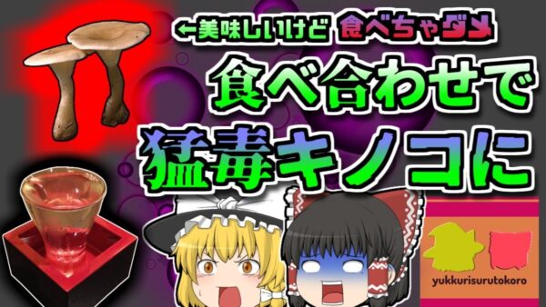 【1990年長野】美味しいけど実は危険なキノコ「ホテイシメジアルコール中毒」【ゆっくり解説】