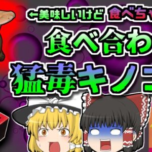 【1990年長野】美味しいけど実は危険なキノコ「ホテイシメジアルコール中毒」【ゆっくり解説】