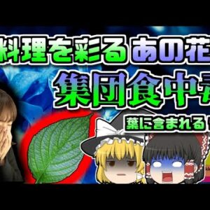 【2008年茨城】初夏を彩るあの花で「青酸中毒」!?【ゆっくり解説】