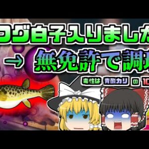 【2009年山形】珍しいフグの白子が入りました！→無免許調理で7人が食中毒に【ゆっくり解説】