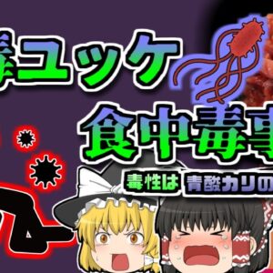 【2011年富山】全国からユッケが消えたきっかけ『焼肉店ユッケ集団食中毒』【ゆっくり解説】