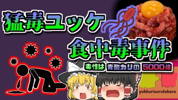 【2011年富山】全国からユッケが消えたきっかけ『焼肉店ユッケ集団食中毒』【ゆっくり解説】
