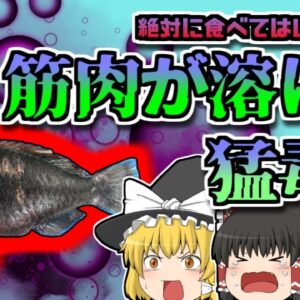 【2012年長崎】絶対に食べてはいけない「筋肉が溶ける猛毒魚」【ゆっくり解説】