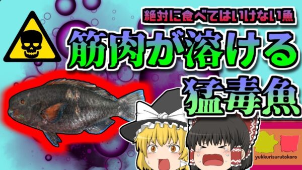 【2012年長崎】絶対に食べてはいけない「筋肉が溶ける猛毒魚」【ゆっくり解説】