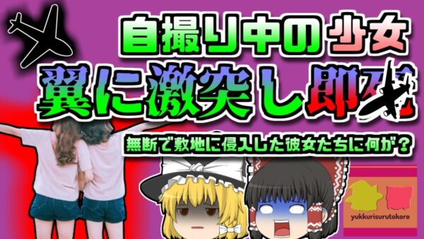 【2017年ﾒｷｼｺ】少女「飛行場で映える写真撮ろう！」→後ろから飛行機に激突され即〇した…【ゆっくり解説】