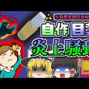 【2020年ﾈｯﾄ】自然派ママによる『自作目薬』で大炎上 最悪の場合失明する危険も【ゆっくり解説】