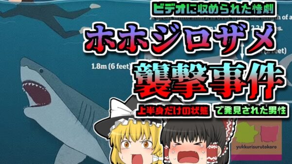 【2022年ｵｰｽﾄﾗﾘｱ】真っ赤に染まった海岸…下半身のない男性…彼は何故サメに襲われてしまった？【ゆっくり解説】