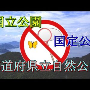 【ゆっくり解説】#31 全国に400カ所以上！自然公園では虫取りできないって本当？【法と昆虫】