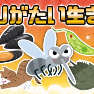 【感謝】人類の役に立っているありがたい生き物7選