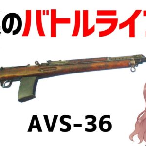 【武器解説】バトルライフルとは？ソ連のAVS-36について