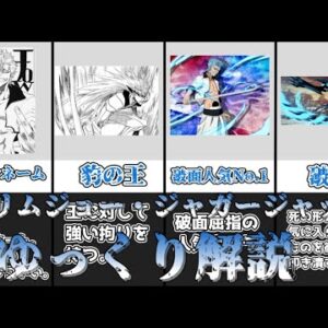 【ゆっくり解説】BLEACH屈指のオサレネームと人気を誇る破面 グリムジョー・ジャガージャック【BLEACH】