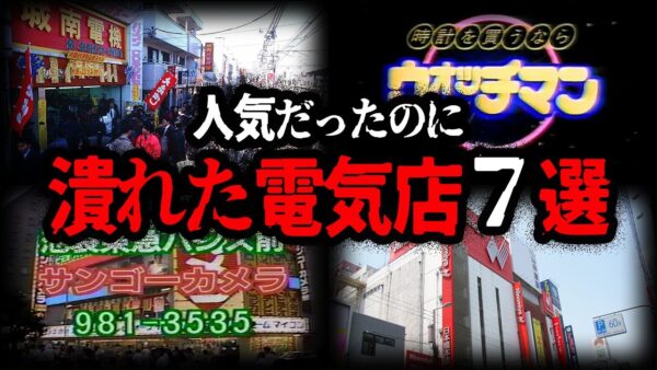【ゆっくり解説】CMも流れていたのに…。有名だったのに潰れた電気店７選-Part2