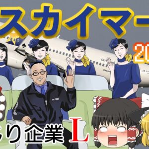 独立を貫こうとした空の暴れん坊【しくじり企業L】スカイマーク2015