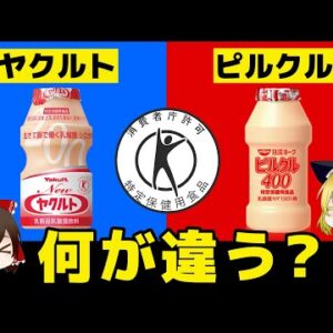 【ゆっくり解説】トクホが共通点の乳酸菌飲料！ヤクルトとピルクル何が違うの？価格の謎を解明！