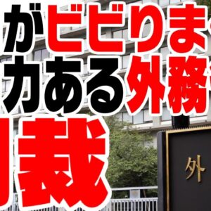 韓国、日本外務省の制裁措置検討にビビり散らかす【ゆっくり解説】