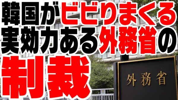 韓国、日本外務省の制裁措置検討にビビり散らかす【ゆっくり解説】