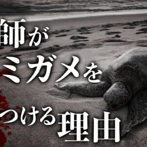 【物議】漁師がウミガメを傷つける理由｜絶滅危惧種の保護と共存のシビアな現実