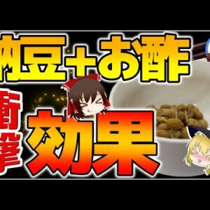 【ゆっくり解説】酢納豆を食べるとどうなる？その効果がヤバすぎる！