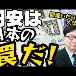 韓国大学経済学部名誉教授、円安は日本の罠とか言い出す【ゆっくり解説】