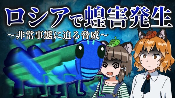 【蝗害】ロシアでバッタが大量発生！？食糧危機の更なる脅威となるか…