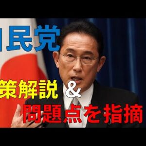 【ゆっくり解説】自民党の公約を見て、投票する価値があるのか考えてみよう