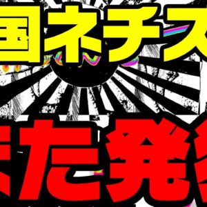 韓国、ポップバンドマルーン５の旭日旗とゴジラに発狂【ゆっくり解説】