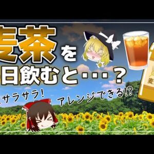【ゆっくり解説】毎日麦茶を飲んだら…その健康効果がヤバすぎた！件について