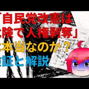 【ゆっくり解説】自民党の改憲で人権がなくなる！？本当なのか検証＆解説
