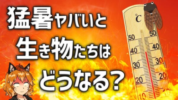 【猛暑】暑すぎると生き物たちはどうなるのか？