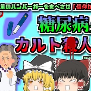 【2014年栃木】「子供が治らないのは信仰が足りないからだ！」自称祈祷師に騙され、インスリン投与されずに亡くなってしまった男児…「糖尿病男児カルト〇人事件」【ゆっくり解説】